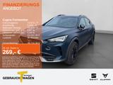 Cupra Formentor 2.0 TSI DSG VZ MATT PANO KAMERA LM19 - Cupra Formentor Matt Gebrauchtwagen