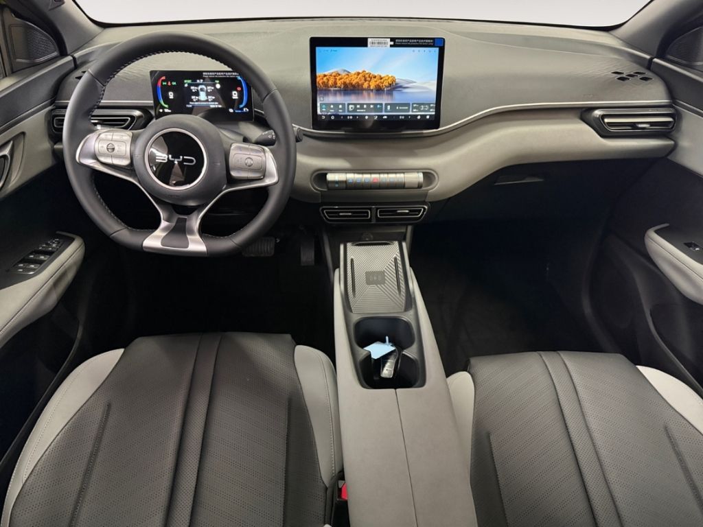 BYD DOLPHIN SURF - Bild 13