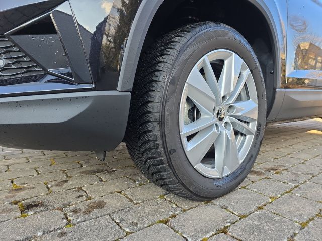 Fahrzeugabbildung SKODA Karoq Selection TS110/1.5A7F