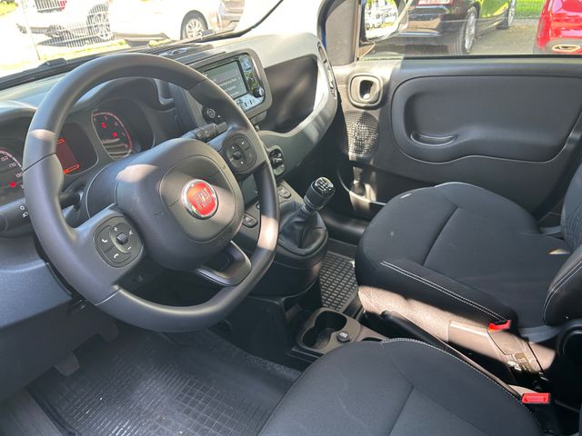Fahrzeugabbildung Fiat Panda MH+NaviZB+PDC+Klima+LM+BT+USB+DAB+S/S+