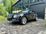 Bentley Bentayga 6.0 W12 4WD 4 Sitz. 3xTV NAIM H-Up - Bentley in Hannover