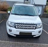 Land Rover Freelander SD4 HSE HSE - Land Rover Freelander: Sd4