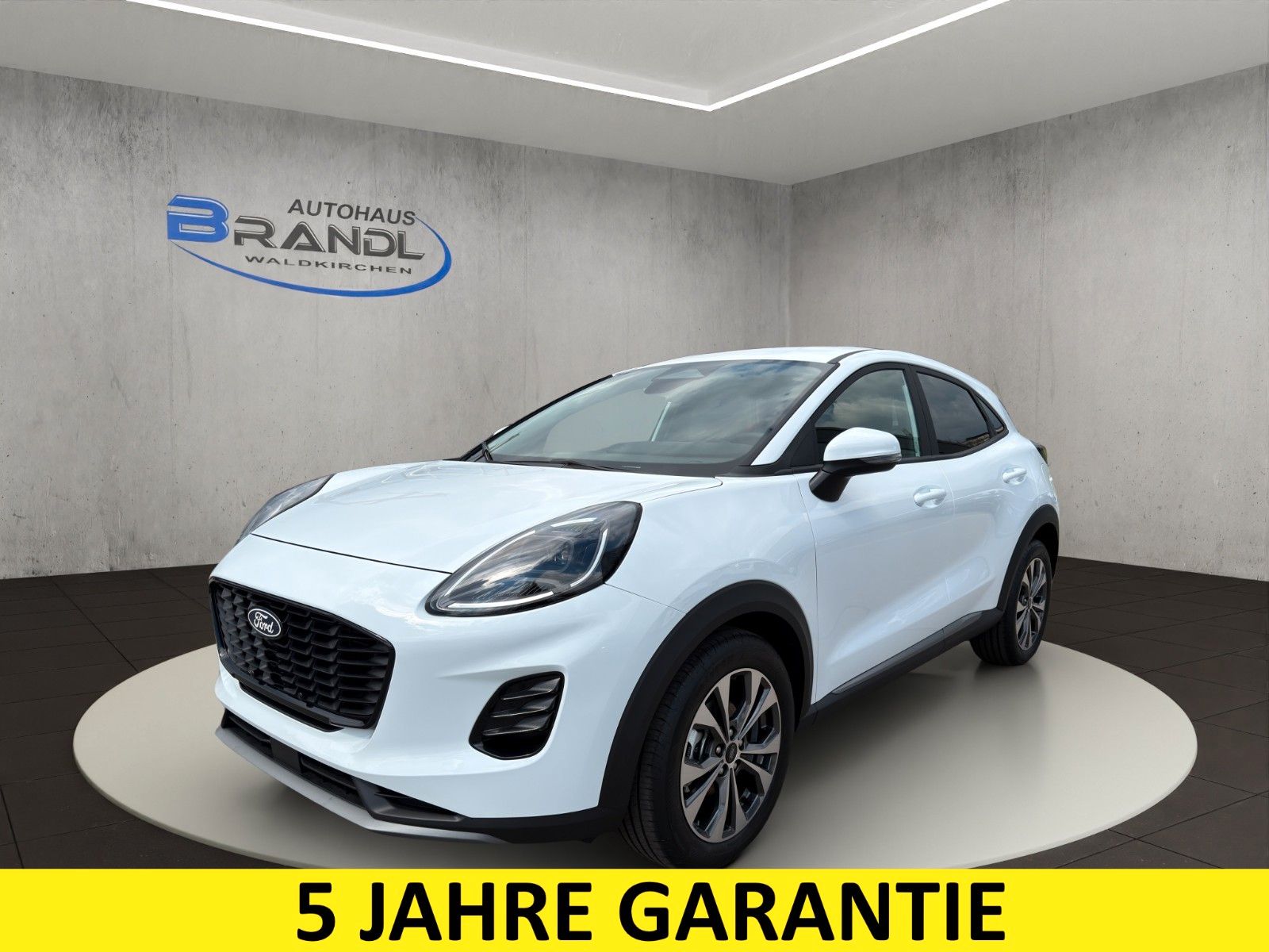 Ford Puma 1,0 EcoBoost Hybrid Titanium*Winter-Paket