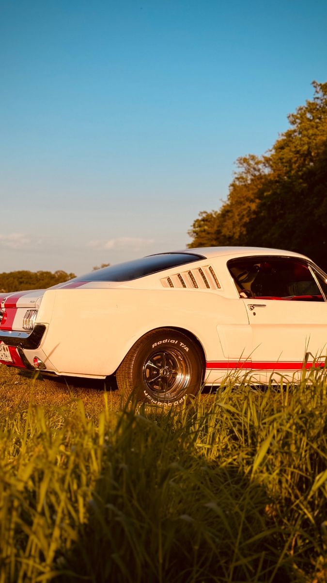 Fahrzeugabbildung Ford Mustang Fastback 4,7 V8 2+2 Fastback Pony