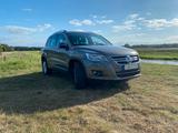 Volkswagen Tiguan 2.0 TDI 4MOTION Team - Volkswagen Tiguan Team mit Diesel-Antrieb