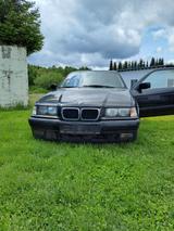 BMW 3SeriesE36BMW316i - BMW 316 aus 1998: 316i
