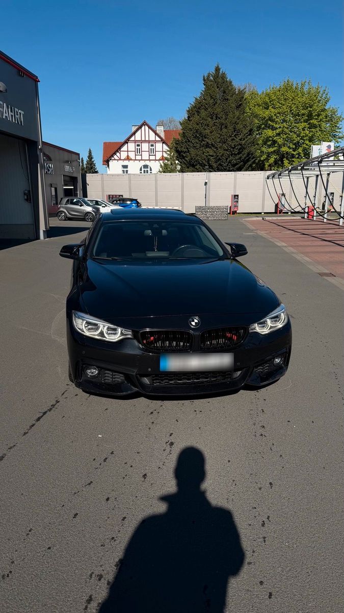 BMW BMW 430d Luxury Line M-Paket | HUD | Memory |