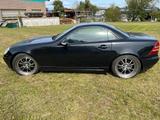 Mercedes-Benz SLK 230 KOMPRESSOR - - Mercedes-Benz SLK 230 Gebrauchtwagen