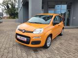 Fiat Panda Base 1.0l*Hybrid, Klimaanlage,mwst.* - gebrauchte Fiat Panda aus dem Jahr 2021