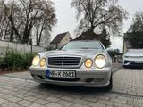 Mercedes-Benz CLK 200 KOMPRESSOR ELEGANCE Elegance - Mercedes-Benz CLK 200 aus 2001: Kompressor