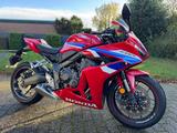 Honda CBR 650 R - HONDA CBR650R