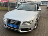 Audi A5 2.0 TFSI Cabriolet*S.LINE SPORT PAKET / PLUS* - Audi A5 aus 2010: Line