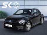 Volkswagen Beetle 1.2 TSI 6-Gang GRA AHK Einparkhilfe Sitzh - Volkswagen Beetle mit Benzin-Antrieb: Limousine, Schaltgetriebe