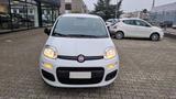 Fiat Panda 1.2 Easy easypower Gpl 69cv my19 - mit LPG-Antrieb: Weiß, Cabrio