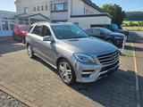 Mercedes-Benz ML 250  CDI BlueTec 4Matic AMG Sport - Mercedes-Benz ML 250