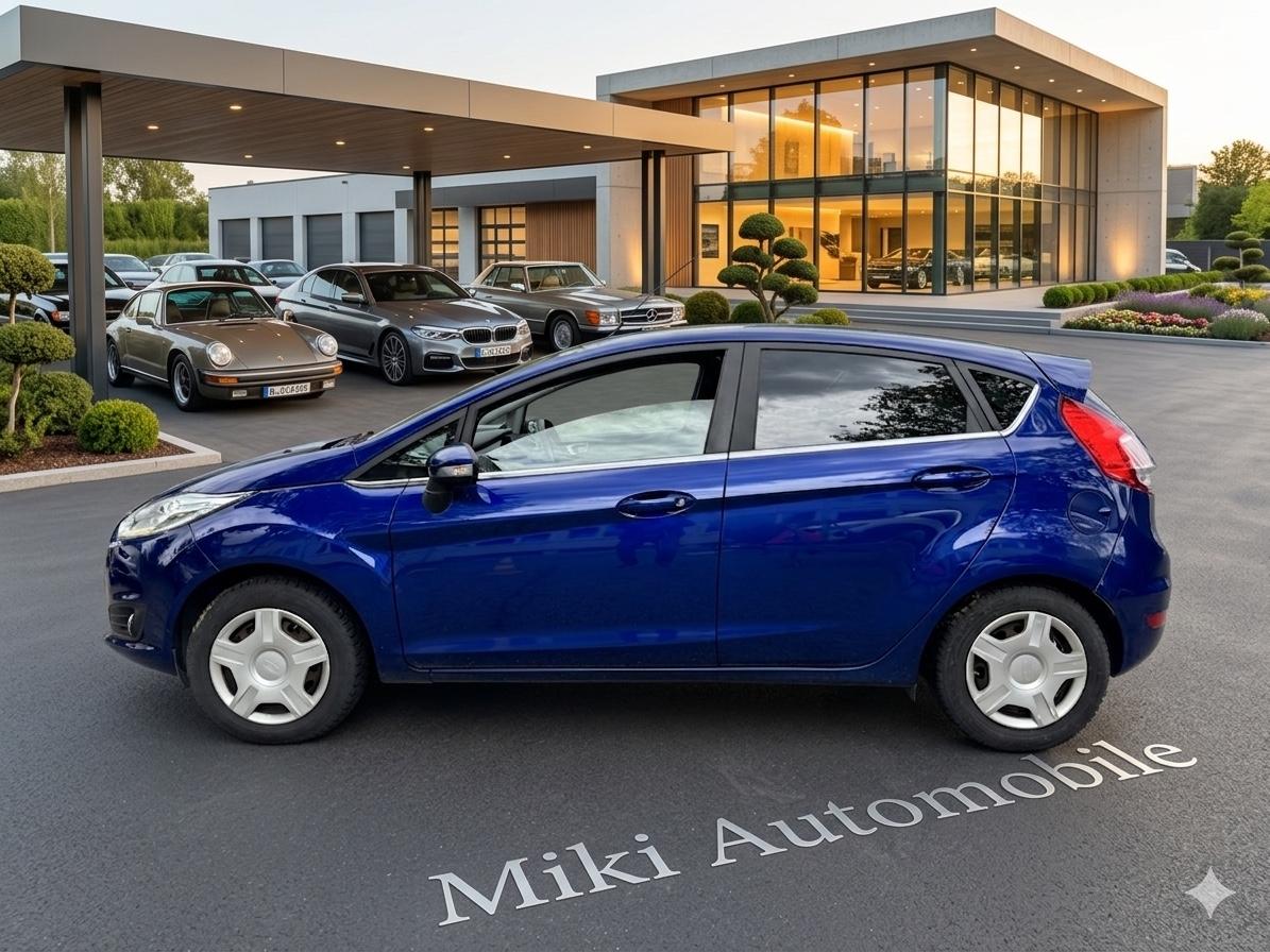 Ford Fiesta 1,5 TDCi,Titanium,2 Hd,Navi,Alu*Euro-6 **