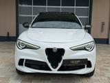 Alfa Romeo Stelvio Quadrifoglio Q4*Harman/Kardon*Carbon* - Alfa Romeo: Quadrifoglio