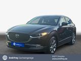 Mazda CX-30 e-SKYACTIVE G 122 SKYACTIV-Drive EXCLUSIVE - Mazda CX-30 Gebrauchtwagen in Dresden