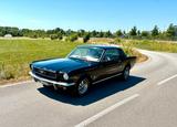 Ford Mustang V8 1966 C-Code Liebhaberfahrzeug H-Zulas - gebrauchte Ford Mustang aus dem Jahr 1966