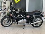 Triumph Thruxton 900 EFI / Service neu / nur 5.819 Km. - Offers