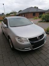 Volkswagen Eos 1.6 FSI Standard - Volkswagen Eos: Standard