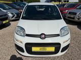 Fiat Panda Pop *ALLWR*74TKM*Klima* TÜV Neu - Fiat Panda Gebrauchtwagen