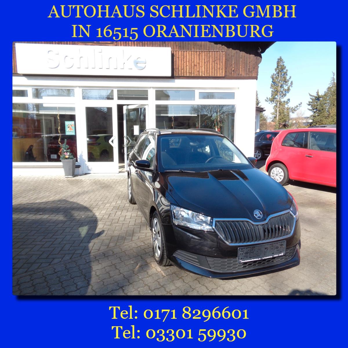Skoda Fabia Combi Ambition 1.0TSI DSG PDC AHK DAB TEMP