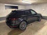 Porsche Macan GTS Voll, Appr, 18 Wege, Kam, Carbon - Porsche: Gt1