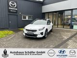 Kia XCeed Platinum Panorama Klimasitze Navi Leder Di - Kia XCeed in Köln