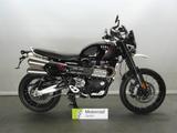 Triumph Scrambler 1200 XC 1.HD 3'KM viel Zubehör. - TRIUMPH SCRAMBLER 1200 X