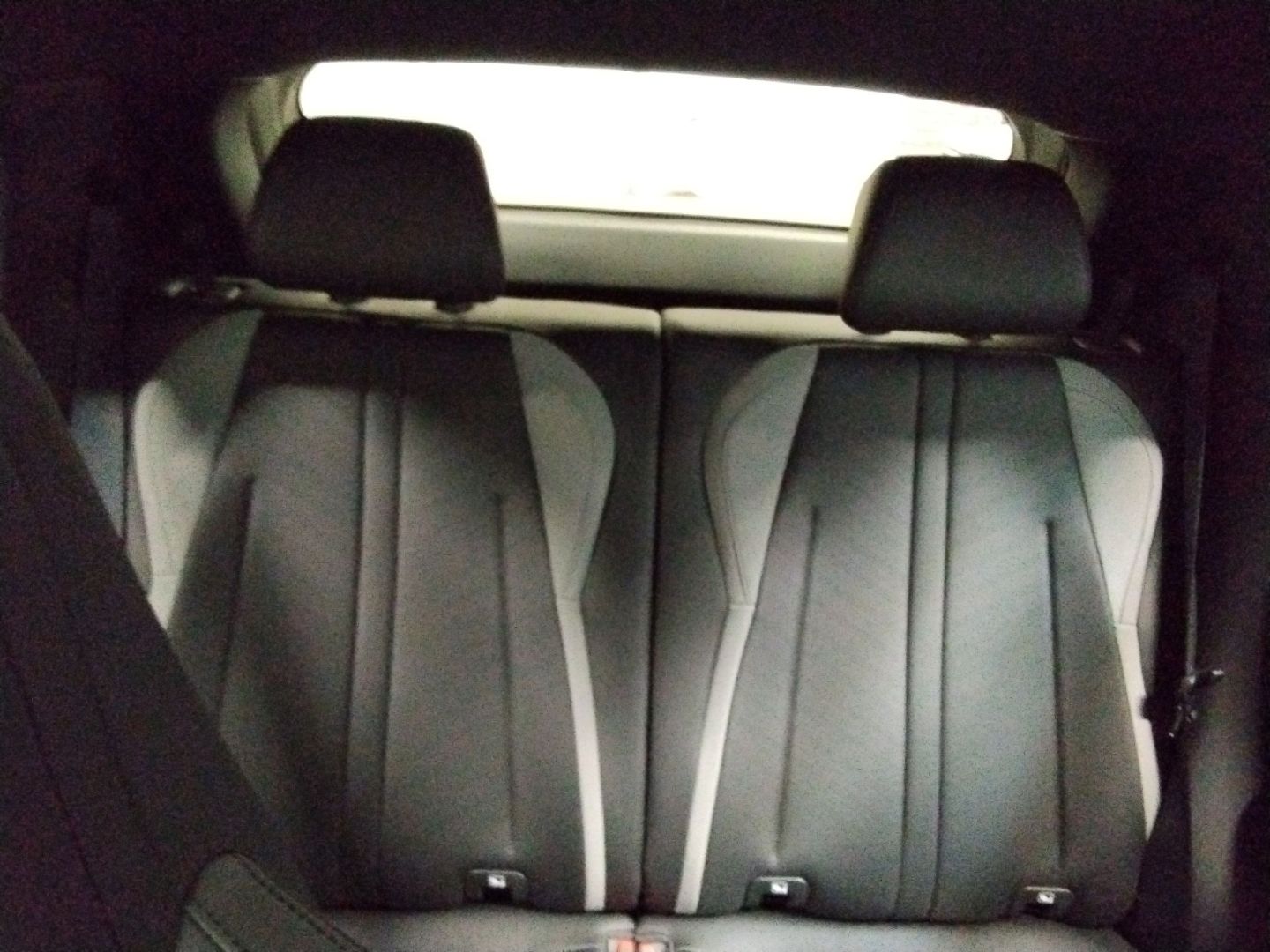 BYD DOLPHIN SURF