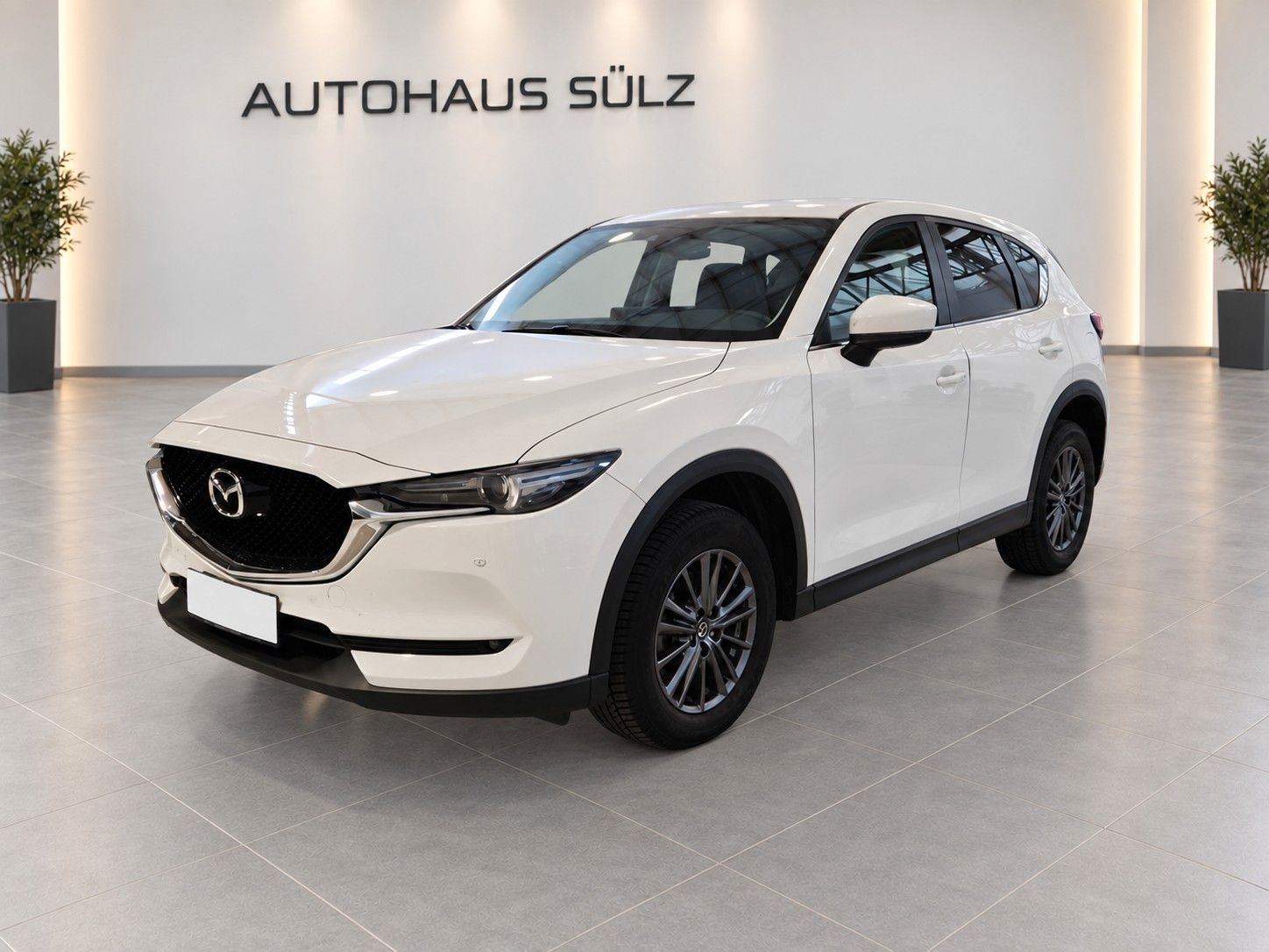 Mazda CX-5 2.2d Business Automatik Kamera foto 1