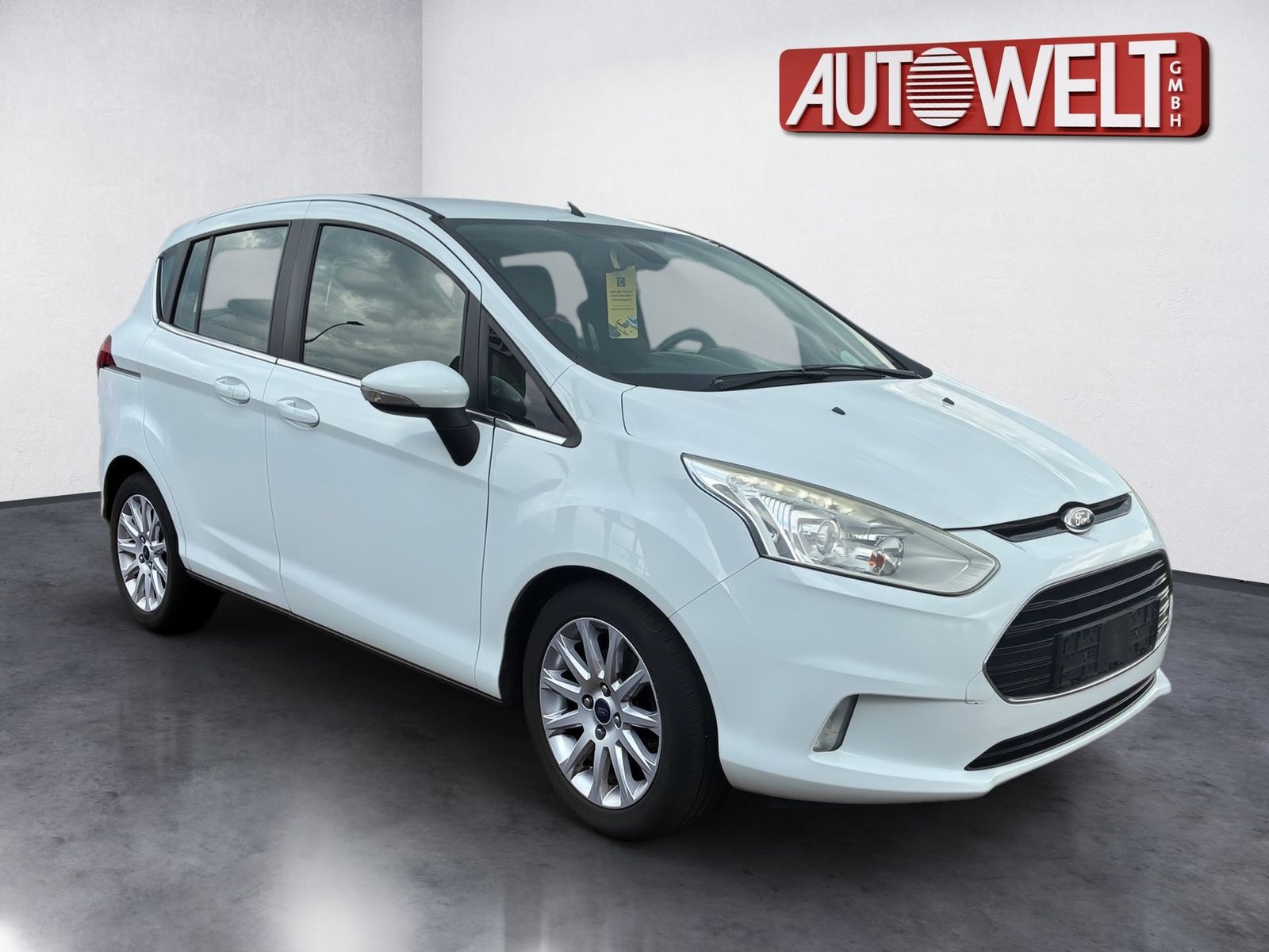 Fahrzeugabbildung Ford B-MAX 1.0 EcoBoost Titanium SHZ,Keyless,LM,FLA