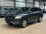 Mercedes-Benz ML 250 ML ML 250 CDI BlueTec - graue Mercedes-Benz ML-Klasse