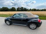 Volkswagen New Beetle - Volkswagen Beetle: New