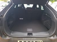 Ford Capri - Vorschau Bild 10