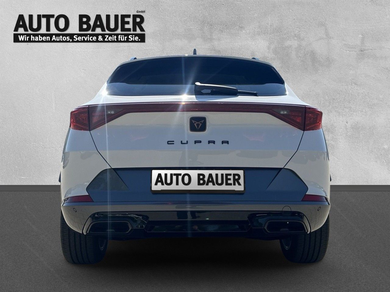 Fahrzeugabbildung CUPRA Formentor 2.0 TDI 6-Gang