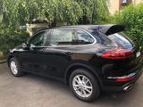 Porsche Cayenne Diesel - - Porsche Gebrauchtwagen in Kassel