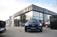 Mazda 2 - Vorschau Bild 2