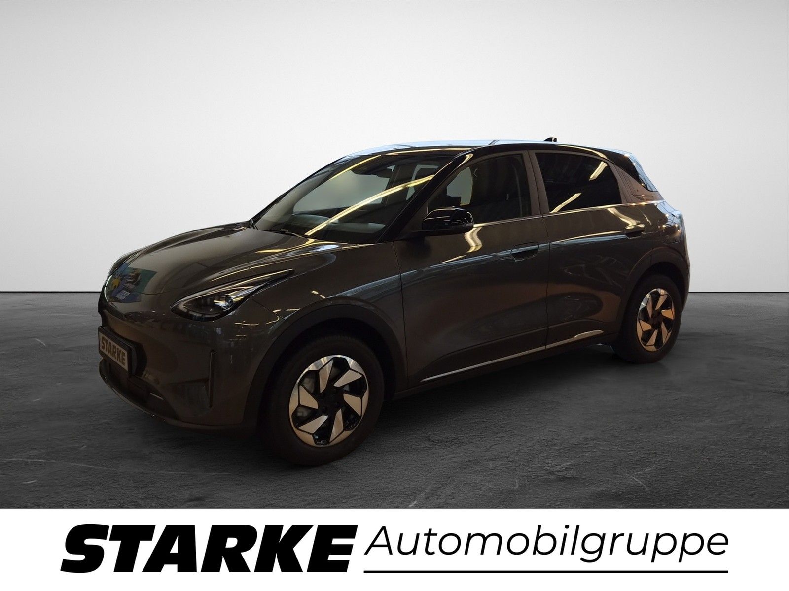 Geely E2 Ultra Standheiz LED Kamera PDC LM Tempo Klim