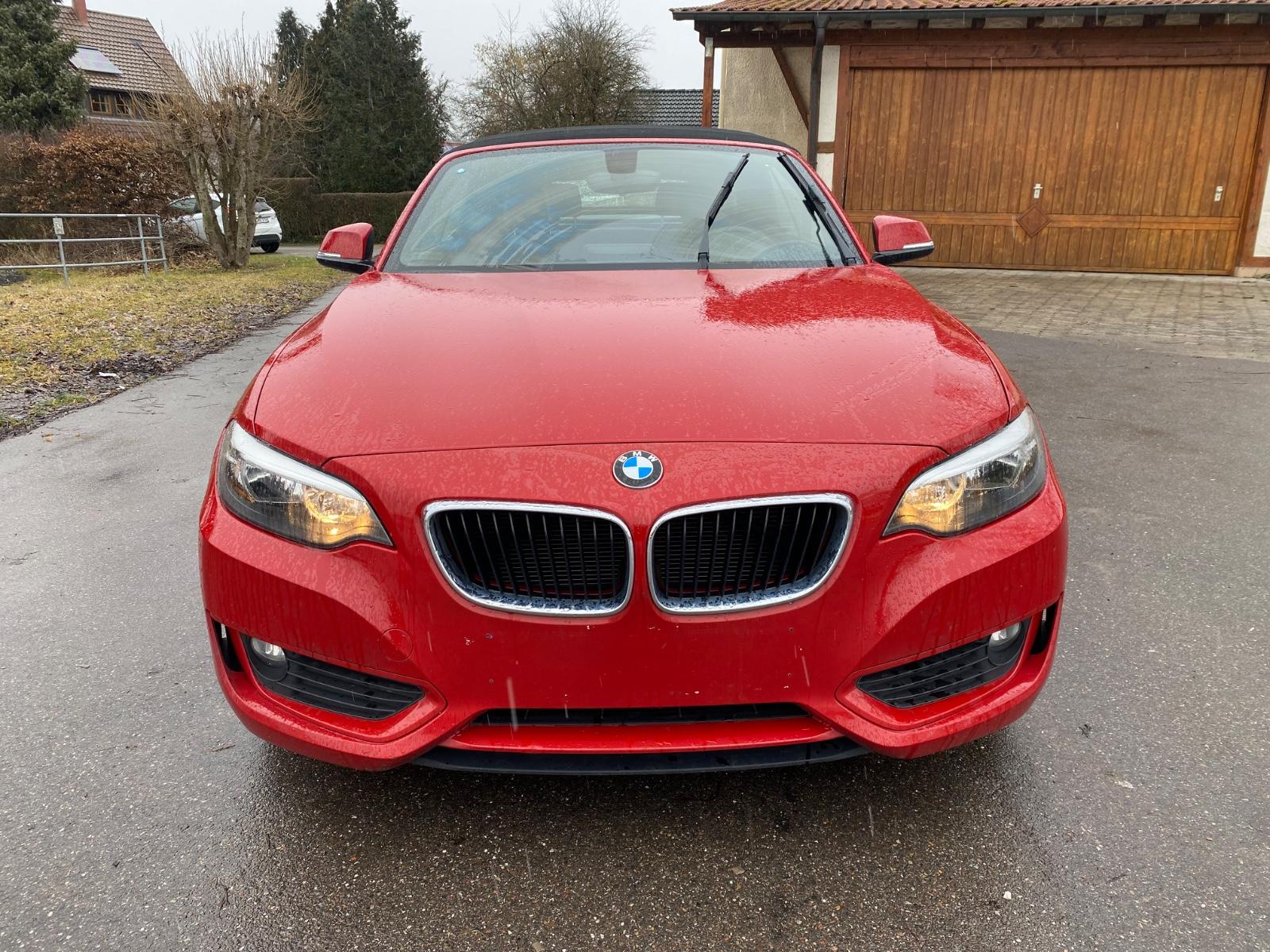 BMW 218i Cabrio*Leder*Navi*TÜV/AU NEU*
