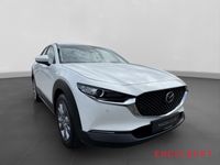 Mazda CX-30 - Vorschau Bild 6