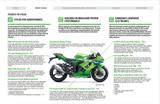 Kawasaki Ninja ZX-10R 2026 grau - vorrätig! - KAWASAKI ZX10R