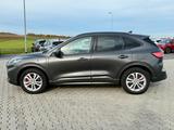 Ford Kuga Plug-In Hybrid ST-Line Styling Paket - Ford Kuga aus 2021
