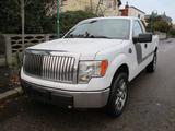 Ford F 150 Single Cab 5.0 V8 Automatik, Klima, Mwst. - Ford: Pickup, 150