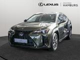 Lexus UX 300h F-Sport Design SHZ NAVI LENKRADHEIZUNG - Lexus UX Tageszulassungen