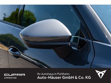 Cupra Terramar - 7