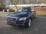 Audi SQ5  Sehr gepflegt, TÜV neu! - Audi SQ5 in Aachen