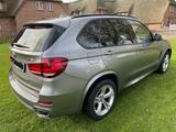 BMW X5 xDrive30d, M-Sportpaket - BMW X5: Xdrive30d M Sport
