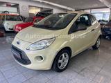 Ford Ka Trend - Ford Ka/Ka+ in Gelsenkirchen